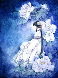 绿帽侠